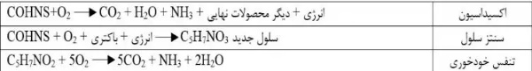 نحوه تجزیه مواد آلی با BOD